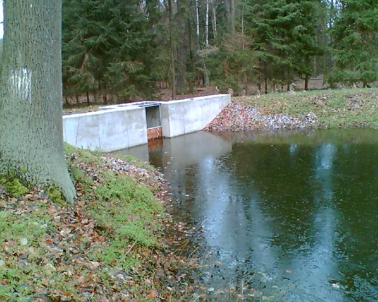 Stau-BW am Waldteich